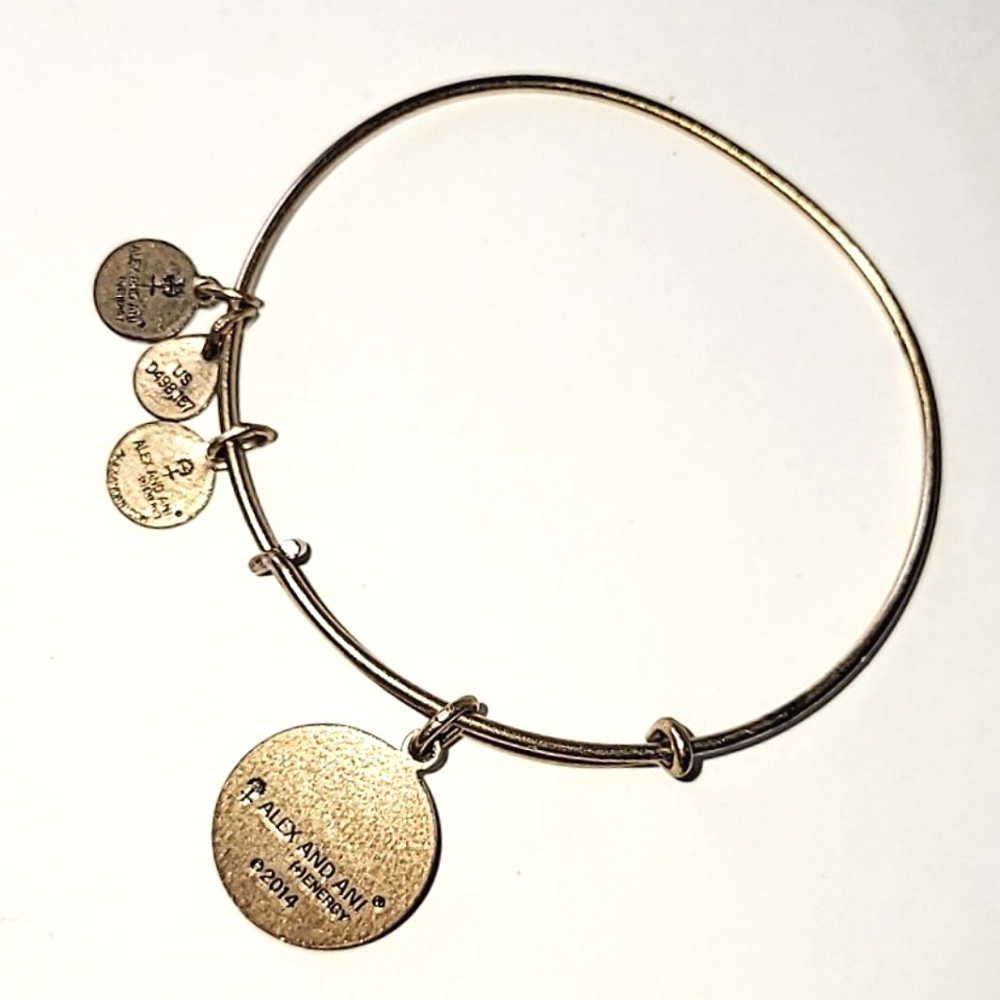 ALEX AND ANI NYC BIG APPLE CHARM BANGLE BRACELET - NEW YORK CITY - Picture 6 of 6